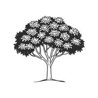 Elegant Indian Laurel Tree Design Outline vector