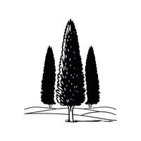Italian Cypress Tree Bold Outline Unique Design vector