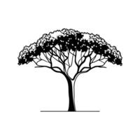 Jacaranda Tree Bold Outline Unique Design vector