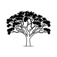 Artistic Outline of Jacaranda Tree vector