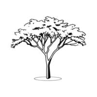 Stylish Jacaranda Tree Illustration vector