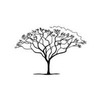 Elegant Jacaranda Tree Design Outline vector