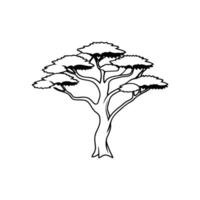Stylish Outline Illustration of Juniper Tree vector