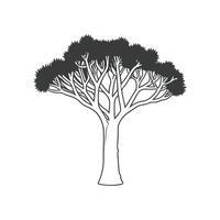 Kaffirboom Coral Tree Bold Outline Unique Design vector