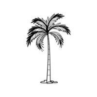 Stylish King Palm Tree Illustration vector