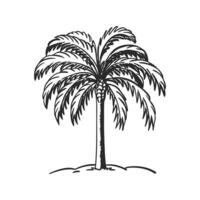Elegant King Palm Tree Design Outline vector