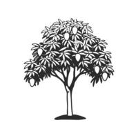 Bold Outline of Mango Tree Illustration vector