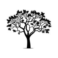 Mesquite Tree Bold Outline Creative Illustration vector