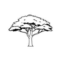 Creative Outline of Monkeypod Tree Design vector
