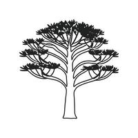 Monkey Puzzle Tree Bold Outline Design vector