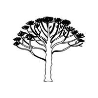 Unique Outline of Monkey Puzzle Tree vector