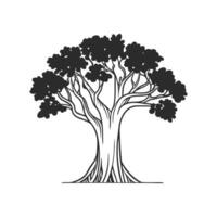 Unique Outline of Moreton Bay Fig Tree vector