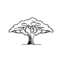 Stylized Outline of Moreton Bay Fig Tree vector