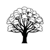Unique Bold Outline of Norway Maple vector