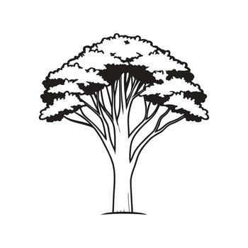 Unique Outline of Paperbark Maple Tree vector