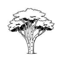 Unique Outline of Paper Birch Tree vector