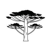 Stylized Outline of Parana Pine Tree vector