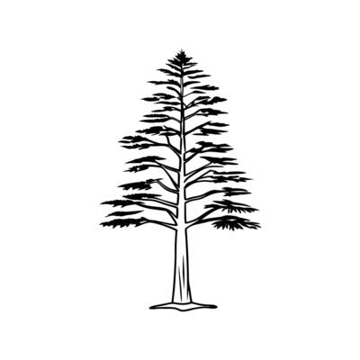 Pencil Cedar Tree Bold Outline Art