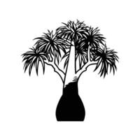 Ponytail Palm Tree Bold Outline Design vector