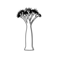 Stylized Outline of Ponytail Palm Tree vector