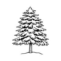 Unique Outline of Pine Tree Art vector