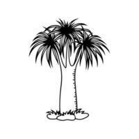 Creative Design of Ponytail Palm Tree vector