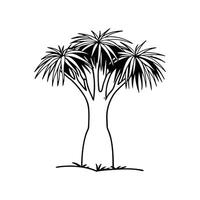Unique Outline of Ponytail Palm Tree vector