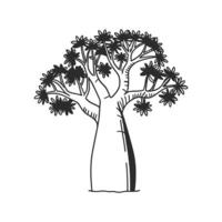 Unique Outline of Queensland Bottle Tree vector