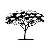 Stylized Outline of African Tulip Tree Art vector