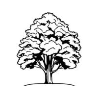 American Linden Tree Bold Outline Design vector