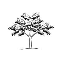 Creative Design of African Tulip Tree vector