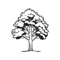 Bold Outline of American Linden Tree Art vector