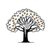 American Persimmon Tree Bold Outline Design vector