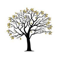 Stylized Outline of American Persimmon Tree vector
