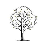 Creative Design of American Persimmon Tree vector