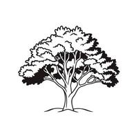 Stylized Outline of Arizona Walnut Tree vector