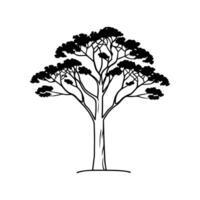 Australian Blackwood Tree Bold Outline Design vector