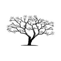 Stylized Outline of Black Cherry Tree vector