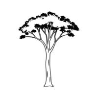 Stylized Outline of Australian Blackwood Tree vector