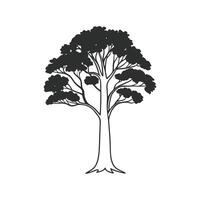 Unique Outline of Australian Blackwood Tree vector