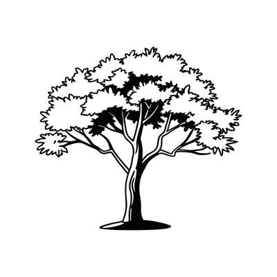 Black Mangrove Tree Bold Outline Design