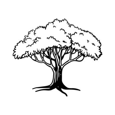 Creative Design of Black Mangrove Tree