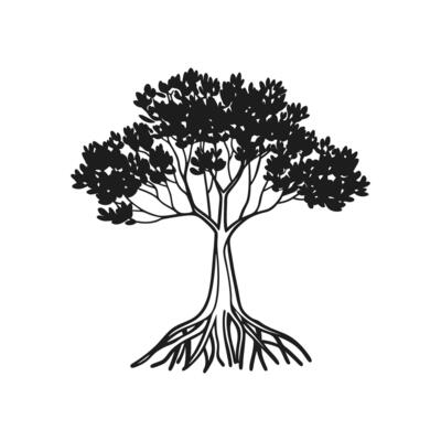 Unique Outline of Black Mangrove Tree