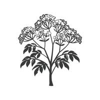 Creative Design of Blue Elderberry Tree vector