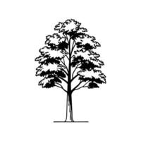 Butternut Hickory Tree Bold Outline Design vector