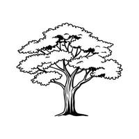 Unique Outline of Chinese Sandalwood Tree vector