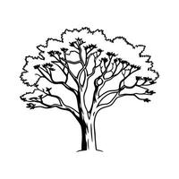 Stylized Outline of Desert Ironwood Tree vector