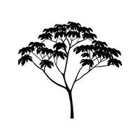 Creative Design of Devils Walking Stick Tree vector