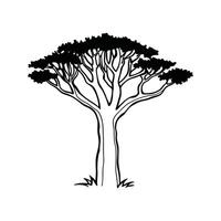 Unique Outline of Desert Ironwood Tree vector