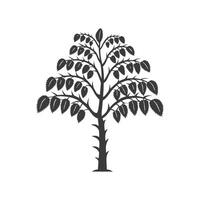 Unique Outline of Devils Walking Stick Tree vector